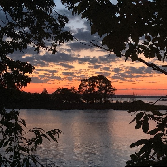 Meet your Posher, Jan - Picture 16 of 16